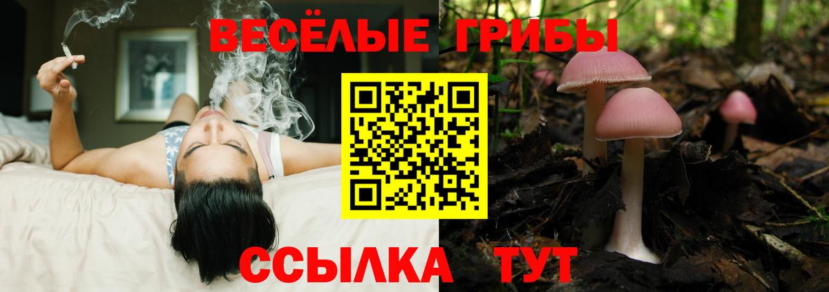 ГАШИШ  ЭКСТАЗИ  Меф кристаллы  Волоколамск  Гашиш  Вход с VPN 